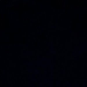 Meet your Posher, Daniella